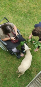 Arrivée de Mimi au FAM de Saint-Girons